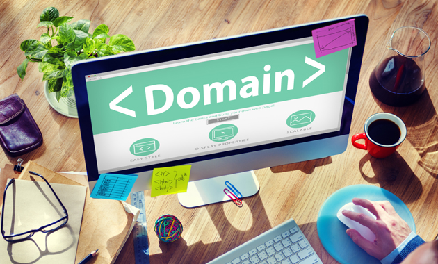 Κατοχύρωση Domain